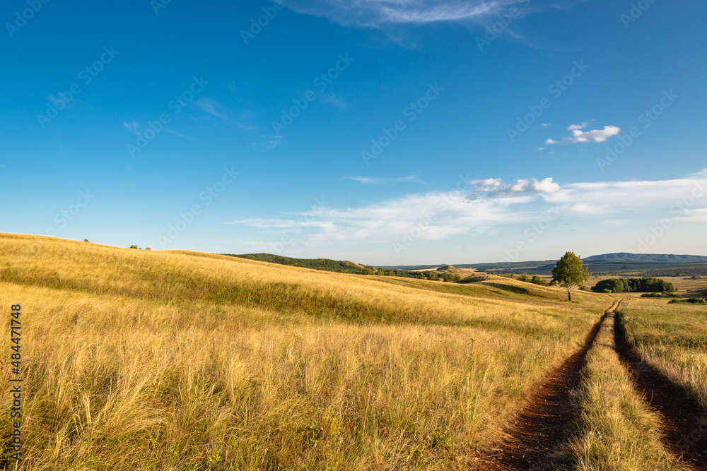 Nature, road on yellow grass, field. Blue sky and hills.