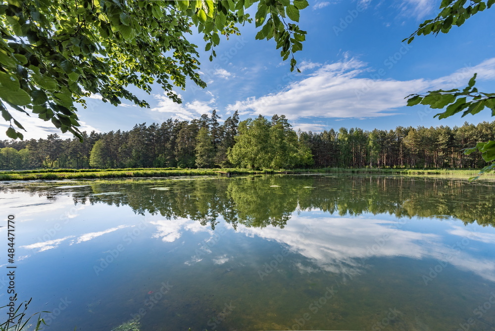 Fototapeta premium Śródleśny zbiornik leśny na Roztoczu Wschodnim, Łówcza