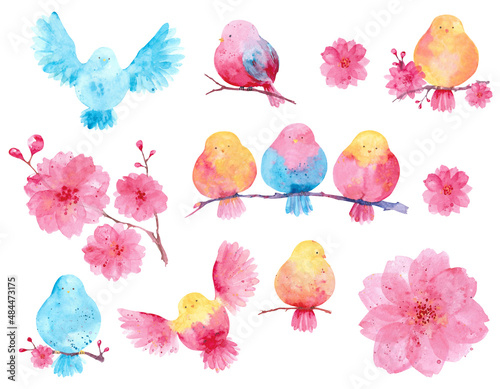 Spring birds. Collection of watercolor birds and sakura flowers