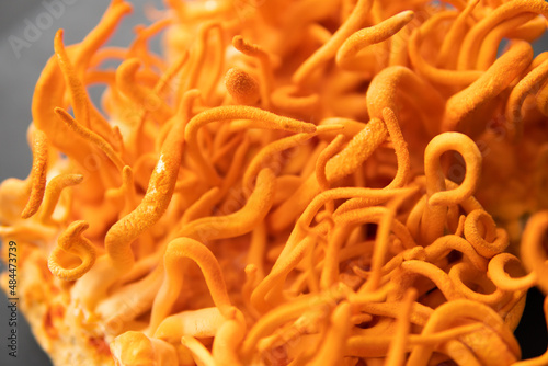 Cordyceps Treatment with Adenosine. Cordycepin Using . Fresh Cordyceps Cordycepin .