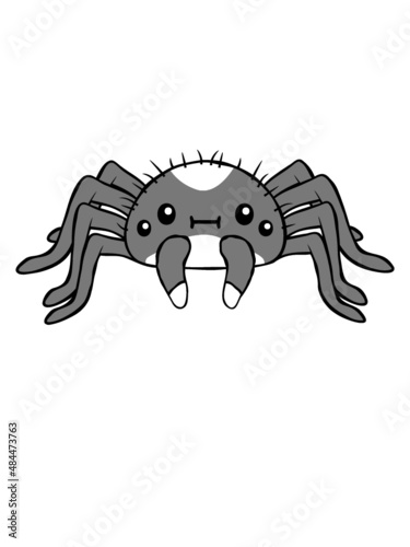 Süße kleine Spinne 