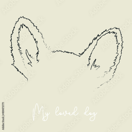 the ears of my beloved dog
