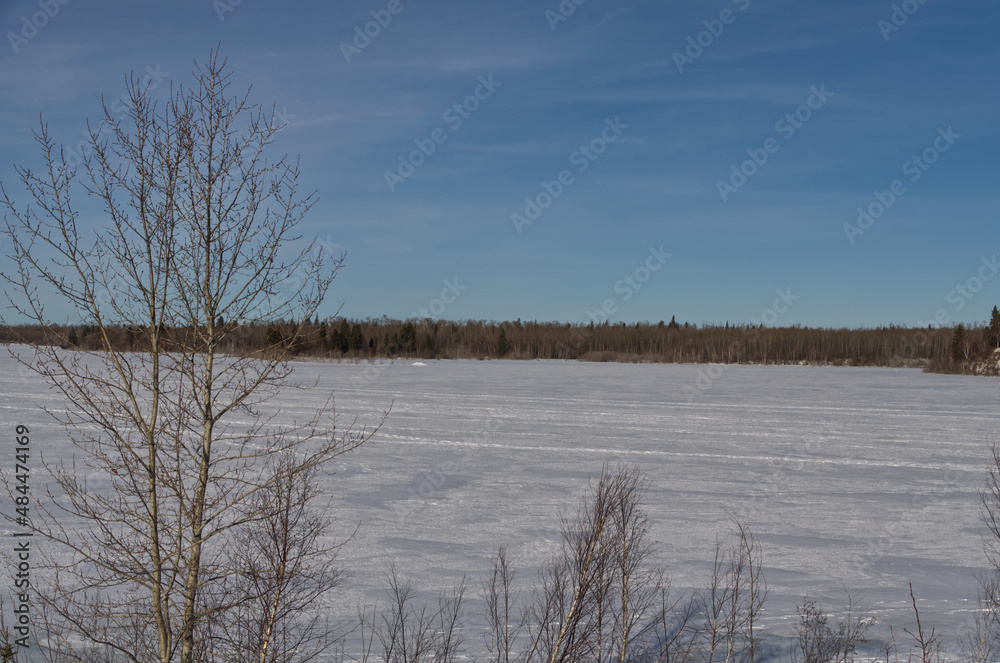 custom made wallpaper toronto digitalFrozen Astotin Lake on a Cold Winter Day