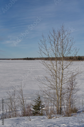Wallpaper Mural Frozen Astotin Lake on a Cold Winter Day Torontodigital.ca
