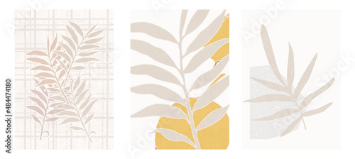 Set of three botanical posters vector illustration. Foliage drawing and abstract shapes. Minimal, natural, leaves and ferns art print. Abstract plant design for background, wallpaper, card, wall art