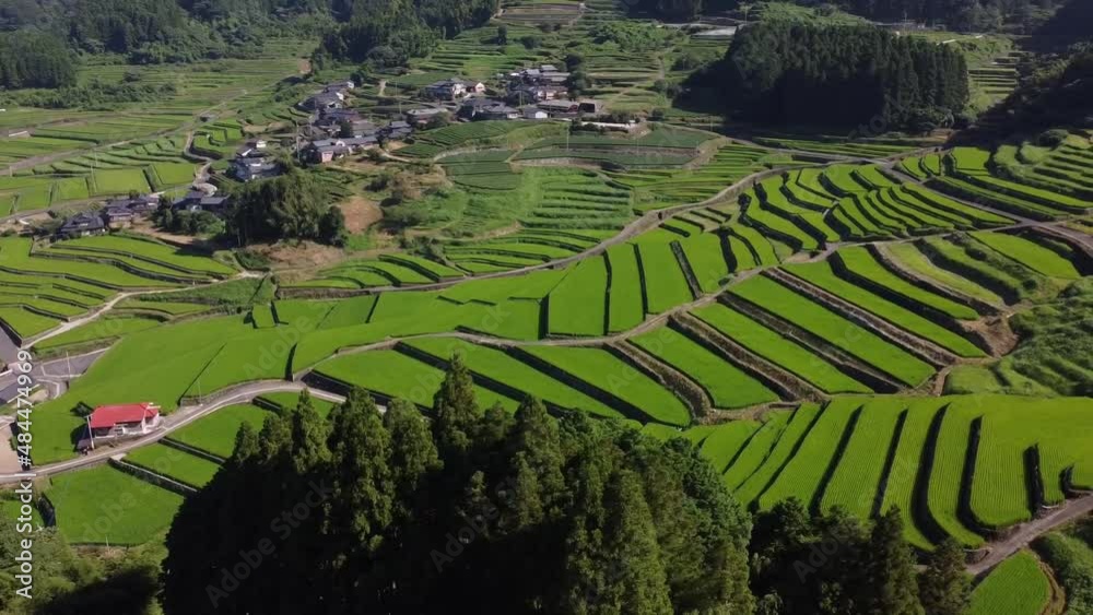 田舎町の幻想的な棚田ドローン映像
