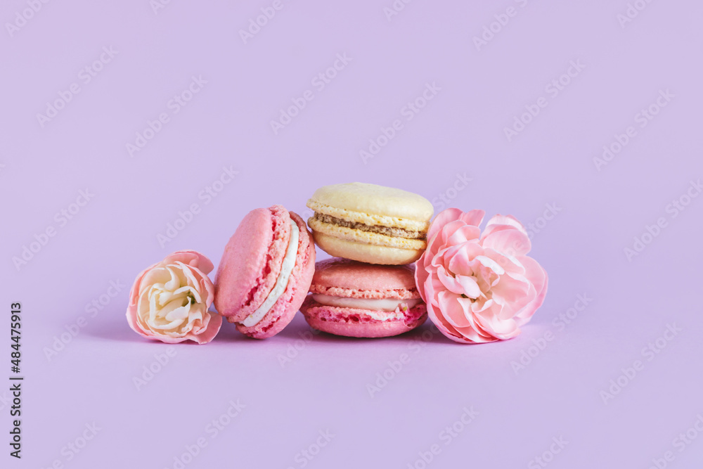 Tasty french macaroons with tender flower on a violet pastel background. Tasty french macaroons with tender flower on a violet pastel background.