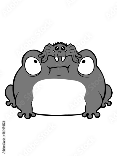 Spinne auf Frosch 