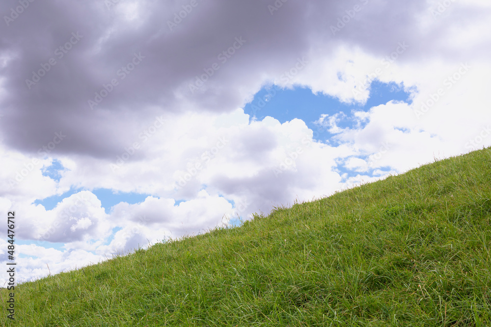 cloudy landscape, with grass, in a park. cloudy landscape, with grass, in a park.