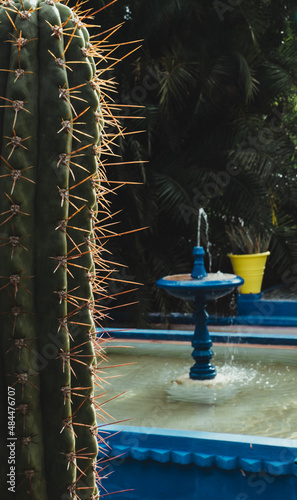 fountain in the park