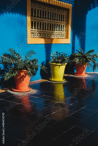 three cactus outside beautiful hotel in marrakech