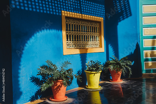 three cactus outside beautiful hotel in marrakech