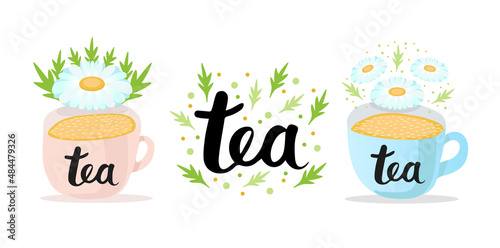 Chamomile set. Bouquet, wreath, tea and chamomile oil isolated on white background. Vector illustration of white daisy flowers in cartoon flat style.