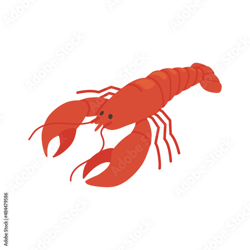 Fish, seafood, lobster - Isometric vector illustration in flat design. 