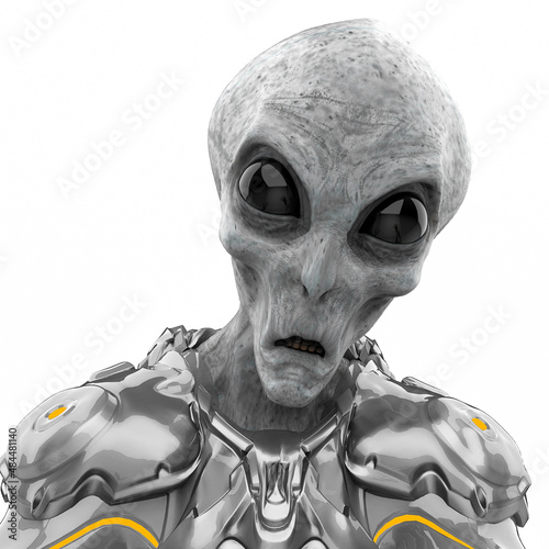 Konstfotografi alien grey warrioris id picture
