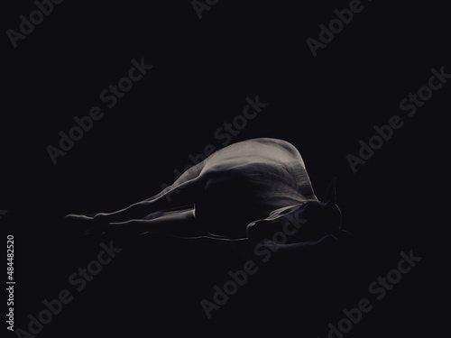 Obraz na plátně Silhouette of a horse lying down. 3D illustration.