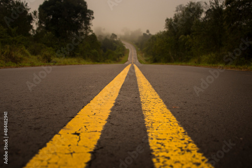 Yellow lines in the road in the middle of a forest on a foggy day in El Soberbio, Misiones, Argentina
