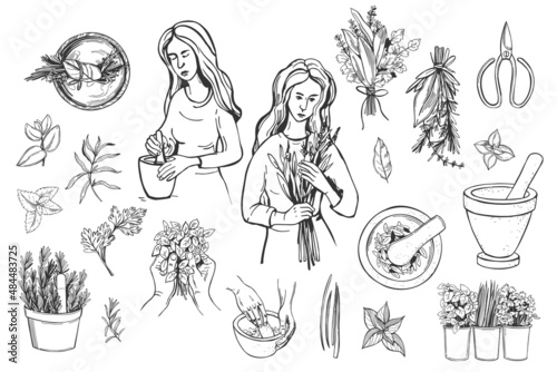 Herbalist set. Sketch  illustration.