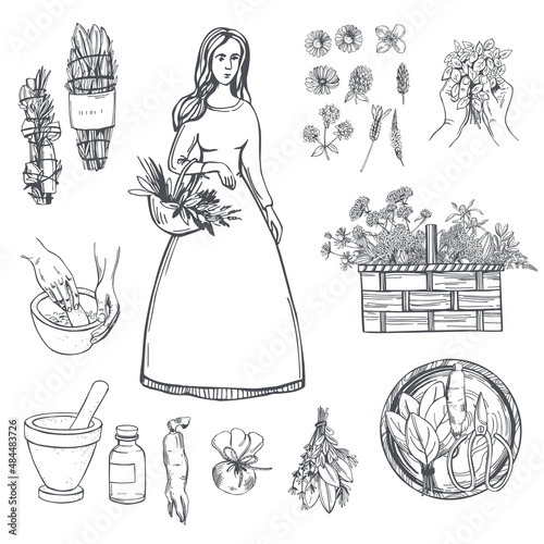 Herbalist set. Sketch  illustration.