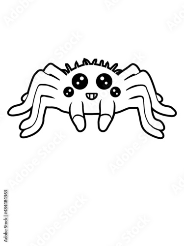 Kleine Spinne Design 