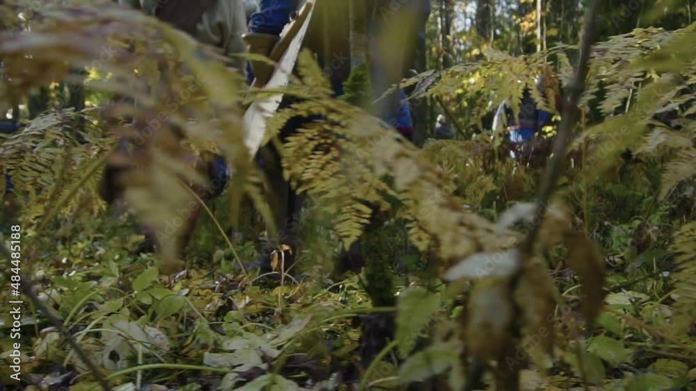 A squad of Vikings quietly sneaks through the forest. A squad of Vikings quietly sneaks through the forest.