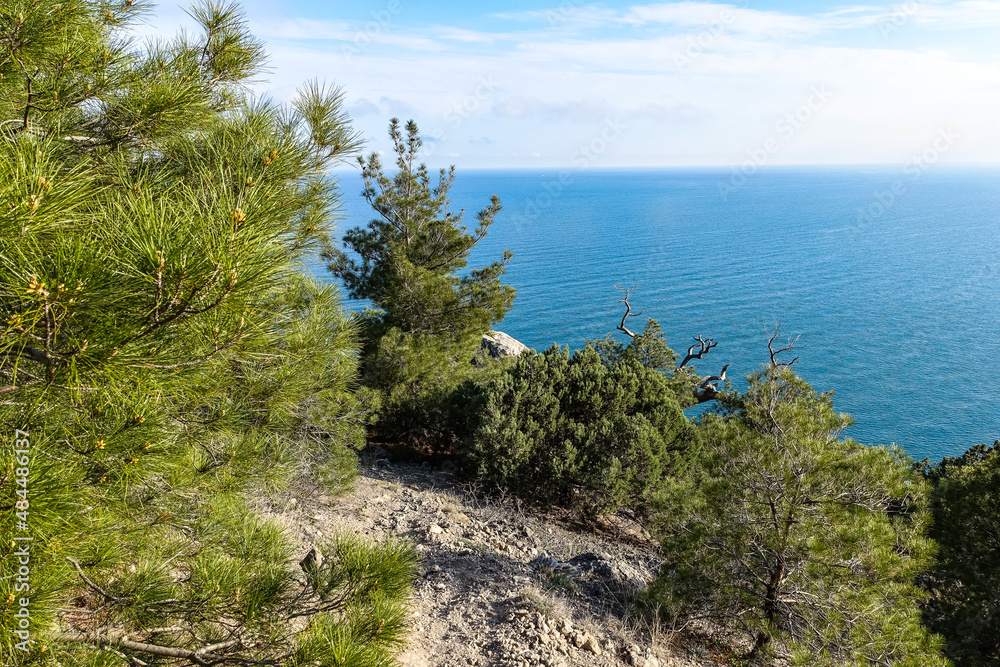 Nature photos on the Golitsyn trail. Landscapes of the Black Sea and the Crimean mountains in greenery. Crimea. Nature photos on the Golitsyn trail. Landscapes of the Black Sea and the Crimean mountains in greenery. Crimea.