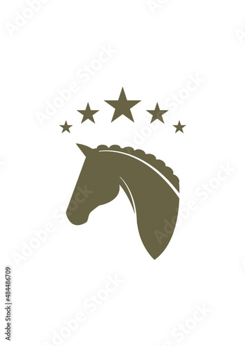 5-Sterne Pferd