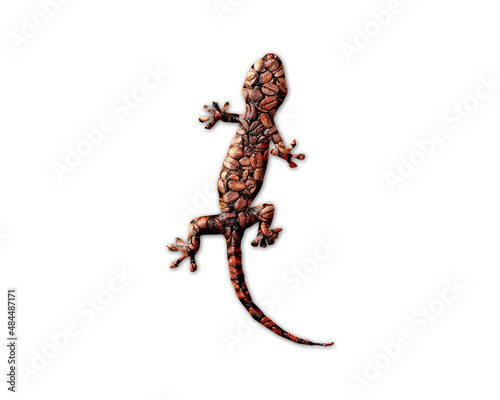 Lizard Gecko reptile Coffee Beans Icon Logo Symbol illustration