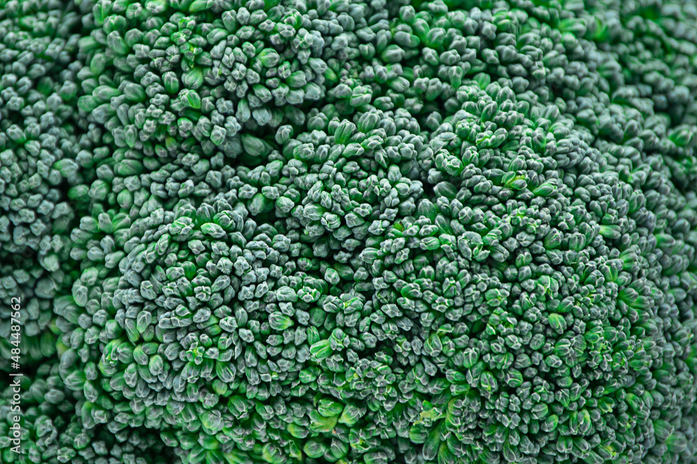 Macro background of green fresh vegetable broccoli