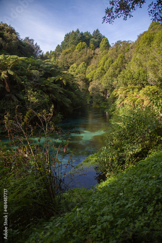 New Zealand - Blue Springs
