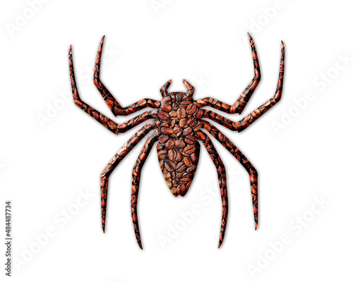 Spider Arachnid Coffee Beans Icon Logo Symbol illustration