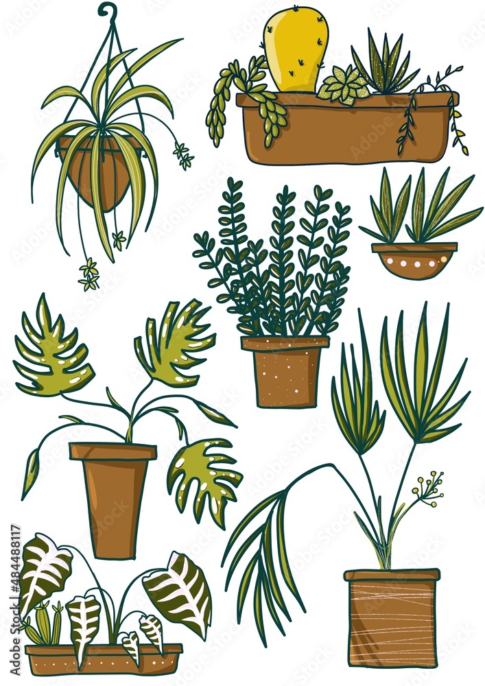 collection of plants set home collection of plants set home