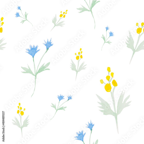 watercolor seamless pattern with dried flowers. Background with mimosa, cornflower. Wildflowers. Natural style. For decor and design. For printing on paper, packaging, fabric.