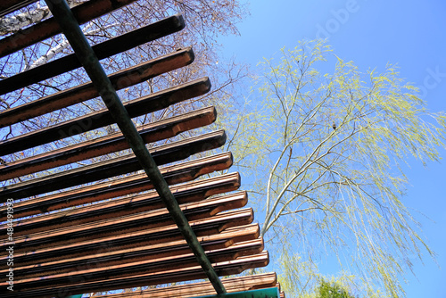 wooden canopy