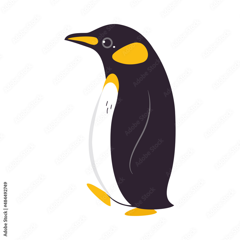 Obraz premium Funny Emperor Penguin as Aquatic Flightless Bird with Flippers Waddling Vector Illustration