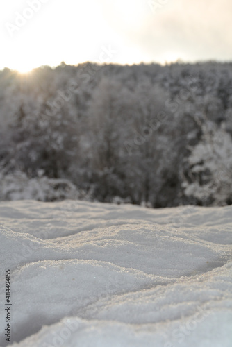 Deep snow with sunrise behind the blurred trees © Claudia Evans 