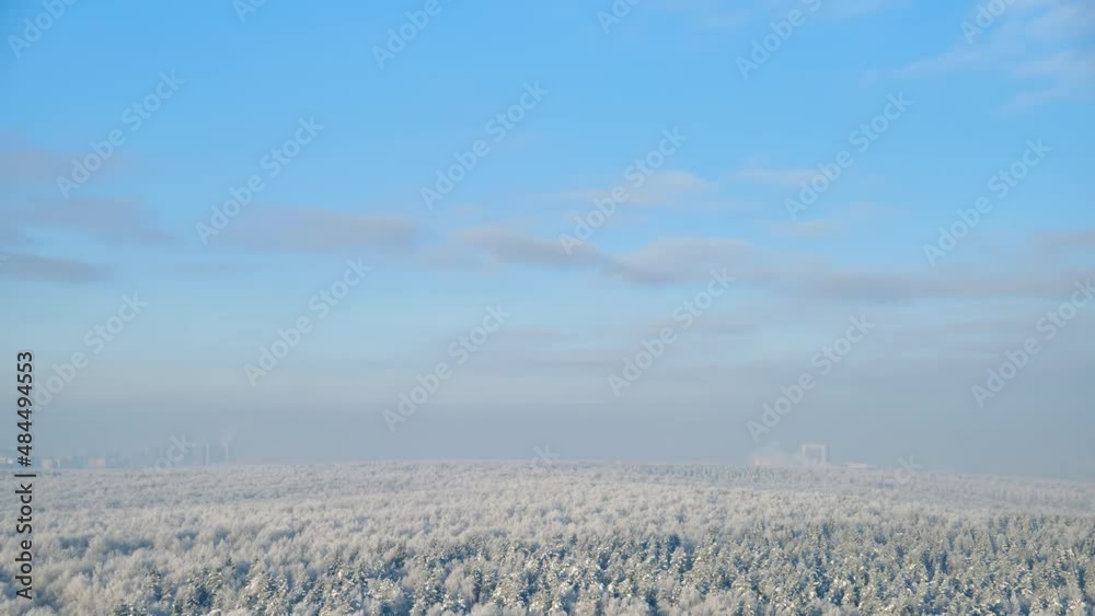 Clouds on a blue sky over a winter forest with snow trees, time lapse