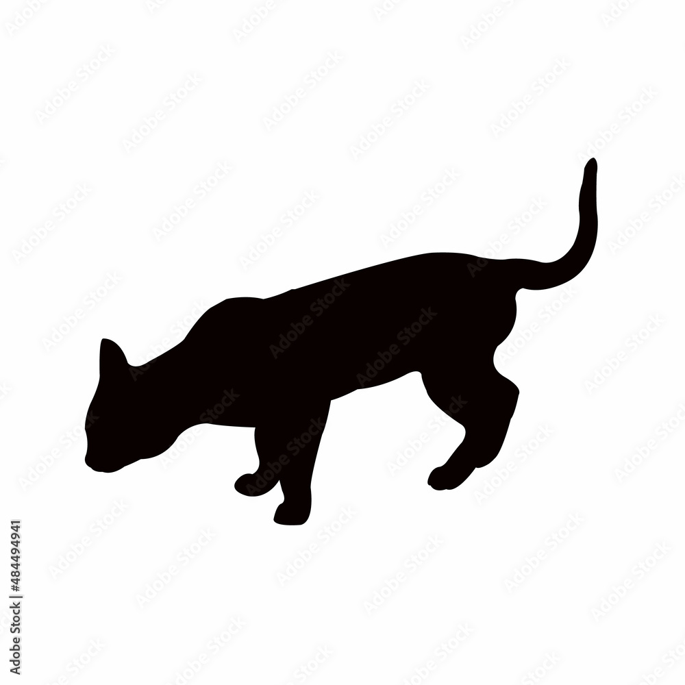 a cat body silhouette vector