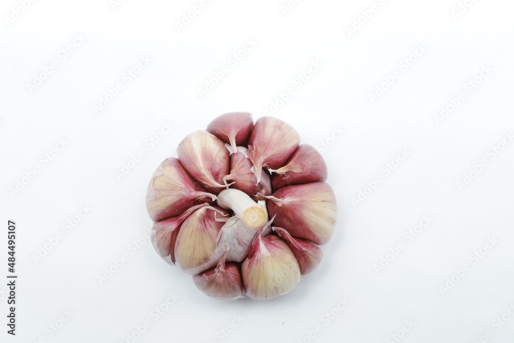 A head of garlic (Allium sativum), seen from above, slightly peeled, each clove can be seen in pinkish tones on the edges and on a neutral background A head of garlic (Allium sativum), seen from above, slightly peeled, each clove can be seen in pinkish tones on the edges and on a neutral background