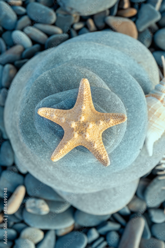Beauty of starfish on Zen stones against background of sea stones. Starfish close-up backdrop for background on phone. Beauty of starfish on Zen stones against background of sea stones. Starfish close-up backdrop for background on phone.