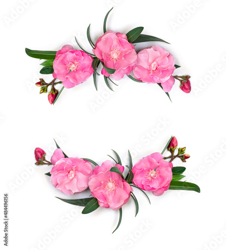 Frame of pink flowers Nerium oleander and leaves on a white background with space for text. Top view, flat lay