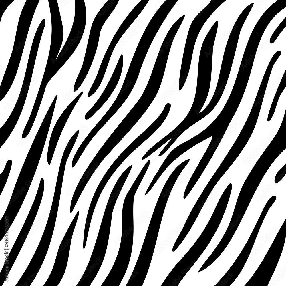 stripe animals jungle tiger pattern. white and black animal print. Vector illustration stripe animals jungle tiger pattern. white and black animal print. Vector illustration