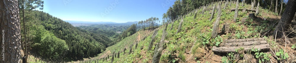 Forest Trees and Landscape Panorama of Azuma Yama Kiryu Gunma Japan Forest Trees and Landscape Panorama of Azuma Yama Kiryu Gunma Japan