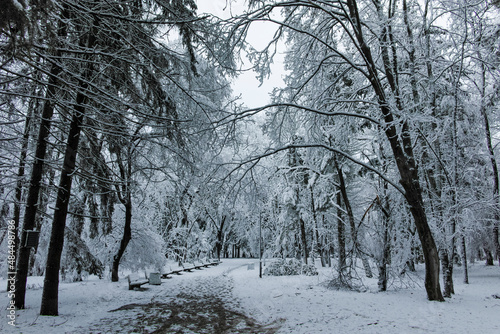 Winter view of South Park in city of Sofia  Bulgaria