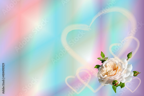 Greeting card template. Valentine's card with hearts of different sizes and a white rose on a rainbow background. There is space for text.