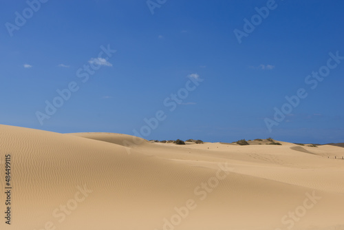 Blue sky day at the dunes