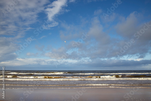 Grass sand dune beach sea view, Baltic Sea