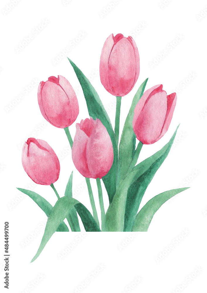 bouquet of tulips bouquet of tulips