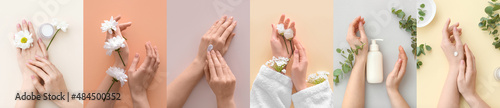 Female hands with cosmetic products and fresh flowers on color background