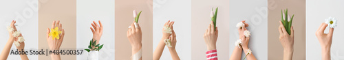 Collection of female hands ...